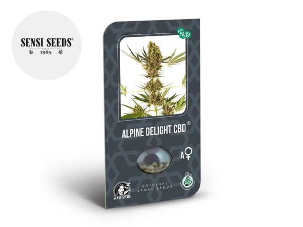 Graines CBD Alpine Delight autoflorissantes - Sensi Seeds