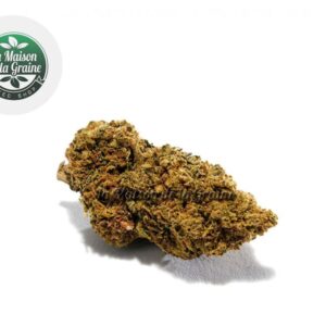 Fleur Gorilla Glue CBD Indoor 14% - La Maison De La Graine