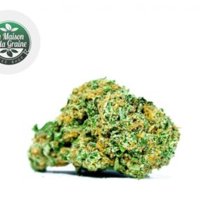 Fleur Super Lemon Haze CBD Indoor 15% - La Maison De La Graine