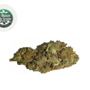 Fleur Orange Bud CBD Indoor 16% - La Maison De La Graine