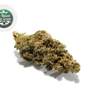 Fleur Amnezia Haze CBD Indoor 17% - La Maison De La Graine