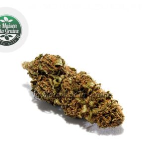 Fleur Blue Dream CBD Indoor 15% - La Maison De La Graine