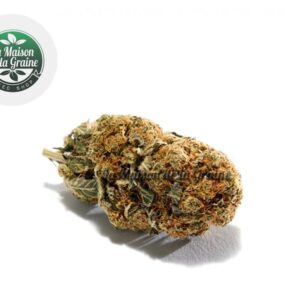 Fleur OG Kush CBD Indoor 16% - La Maison De La Graine