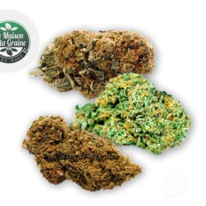 Fleur Coffret Découverte Fleurs CBD Indoor % - La Maison De La Graine