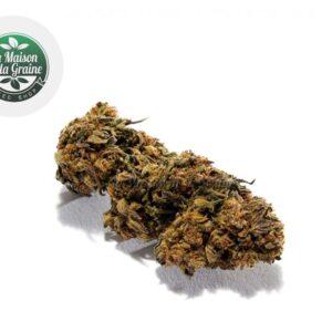 Fleur Strawberry CBD Indoor 18% - La Maison De La Graine