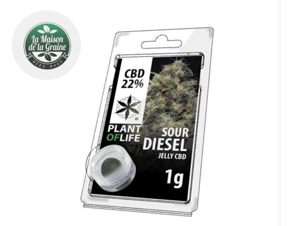 Résine Sour diesel CBD 22% - Plantoflife