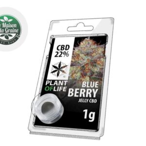 Résine BlueBerry CBD 22% - Plantoflife