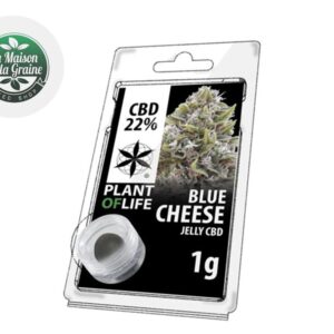 Résine Blue Cheese CBD 22% - Plantoflife