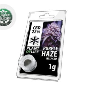 Résine Purple Haze CBD 22% - Plantoflife