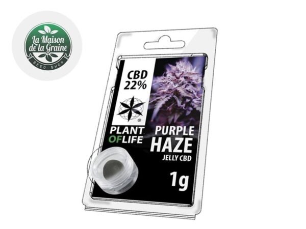 Résine Purple Haze CBD 22% - Plantoflife