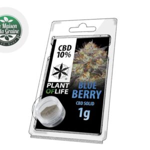 Pollen Blueberry CBD 10% - Plantoflife