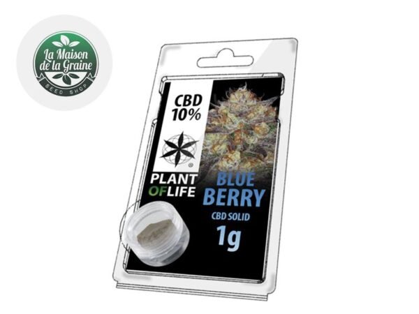 Pollen Blueberry CBD 10% - Plantoflife