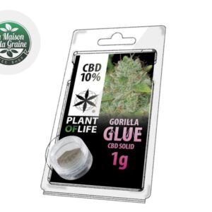 Pollen Gorilla Glue CBD 10% - Plantoflife