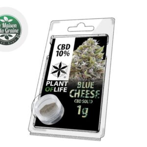 Pollen Blue Cheese CBD 10% - Plantoflife