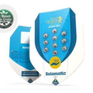 Graines CBD Solomatic autoflorissantes - La Maison De La Graine