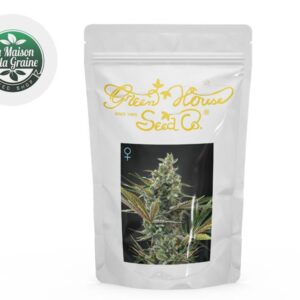 Graines CBD Super Lemon Haze autoflorissantes - La Maison De La Graine