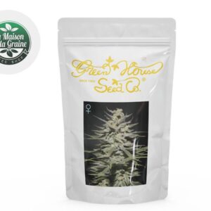 Graines CBD Super Lemon Haze féminisées - La Maison De La Graine