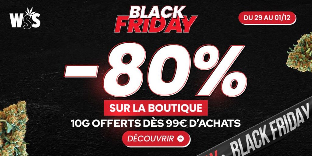 WSS -80% BLACK FRIDAY