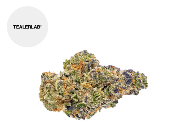 Fleur Super Zkunk THM Indoor 25% - TealerLab